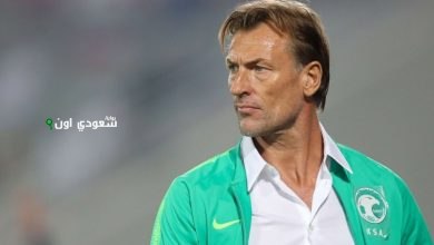 هيرفي رينارد