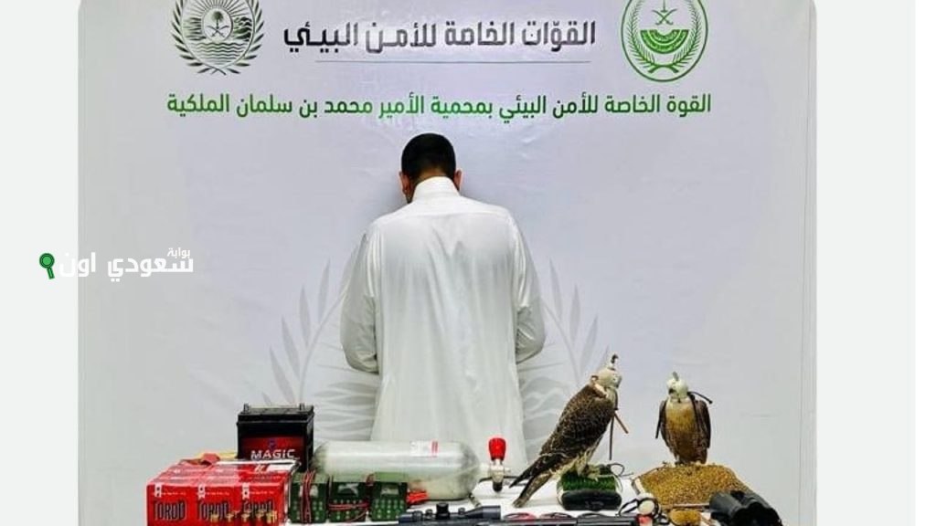 ضبط شخص قام بمخالفة