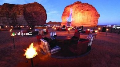 باحث اقتصادي: السياحة السعودية