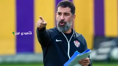 أردا توران