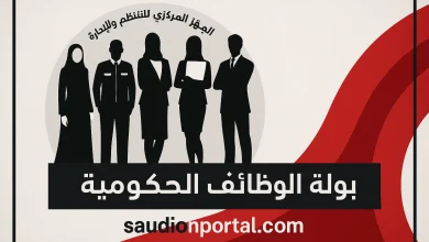 الحكومة المصرية