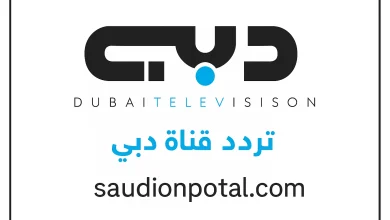 قناة دبي الإخبارية