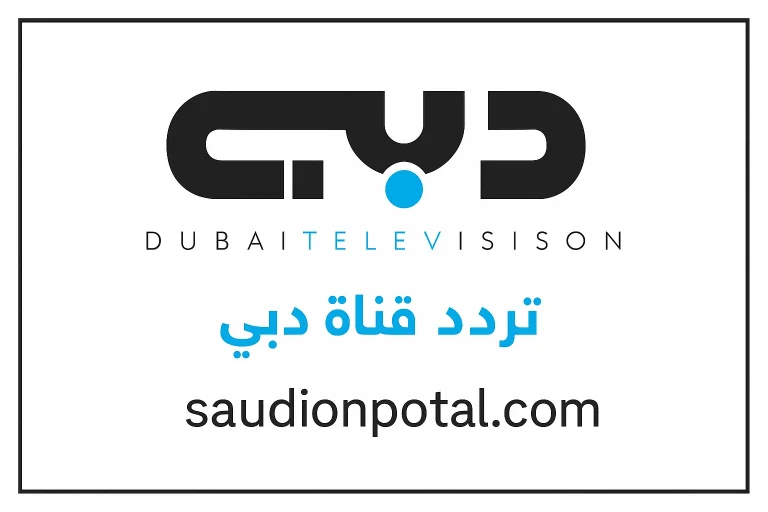 قناة دبي الإخبارية