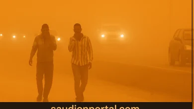 عاصفة ترابية قوية