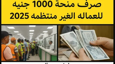 تفاصيل طريقة صرف منحة العمالة غير المنتظمة بكل سهولة وضمان الحصول على الدعم