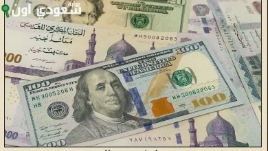 أسعار الدولار في البنوك المصرية اليوم وتفاصيل الرصد التفصيلي للمستجدات