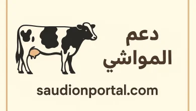 شروط استحقاق دعم مربي المواشي في السعودية