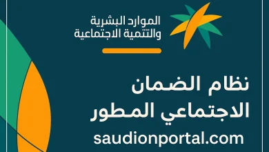 كيفية الاستعلام عن حالة طلب في وزارة الموارد البشرية