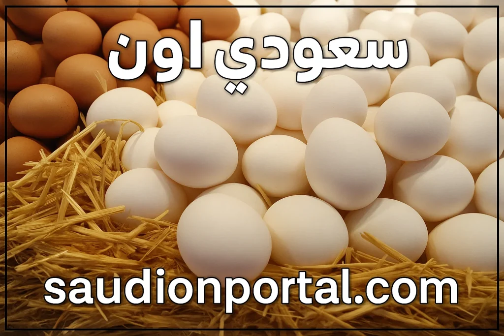 ارتفاع غير مسبوق.. أسعار البيض اليوم الأحد 11 مايو 2025 صدمة المستهلك ارتفاع جنوني