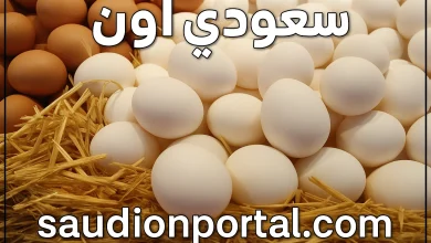 أسعار البيض اليوم الأحد 11 مايو 2025 صدمة المستهلك ارتفاع جنوني