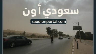 الطقس في الجيزة والقاهرة الاثنين