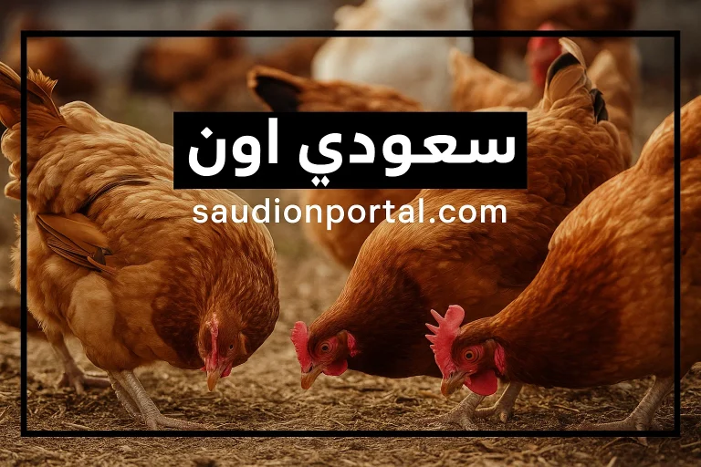 أسعار الفراخ البيضاء اليوم