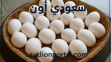 أسعار البيض اليوم في أسواق مصر