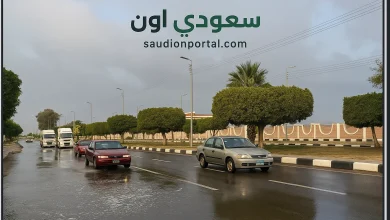 طقس الخميس في مصر