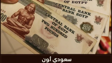 المالية تحدد رسميا جدول مواعيد صرف مرتبات شهر مايو