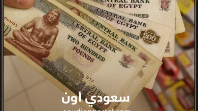 صرف 1500 جنيه منحة العمالة غير المنتظمة بمناسبة عيد العمال