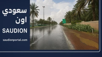 توقعات حالة الطقس غدا الخميس 15-5-2025 في مصر