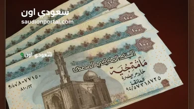 شروط الحصول على منحة العمالة غير المنتظمة 2025 وكيفية التقديم إلكترونيًا