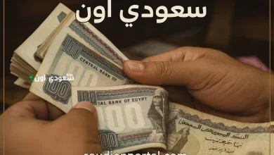 كيفية تحديث بيانات منحة العمالة غير المنتظمة لضمان استمرار الدعم