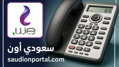دفع سهل.. خطوات سداد فاتورة التليفون الأرضي مايو 2025 إلكترونيًا بكل الطرق المتاحة
