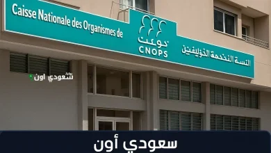 كنوبس بتفتح الباب على مصراعيه.. التسجيل في تأمين المغرب 2025 دلوقتي إلكترونيًا وسريع