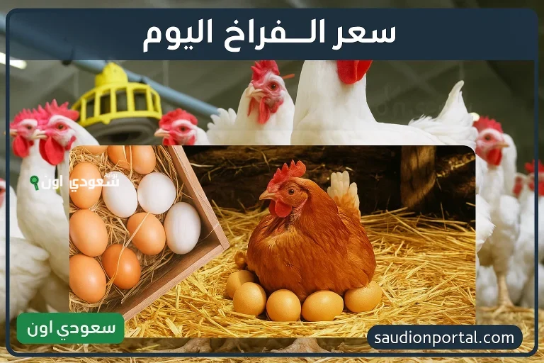 سعر الفراخ والبيض