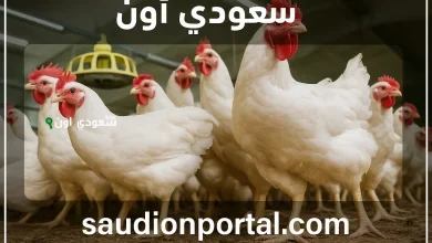 بورصة الدواجن