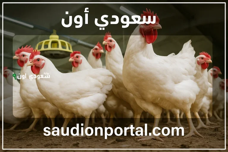 بورصة الدواجن