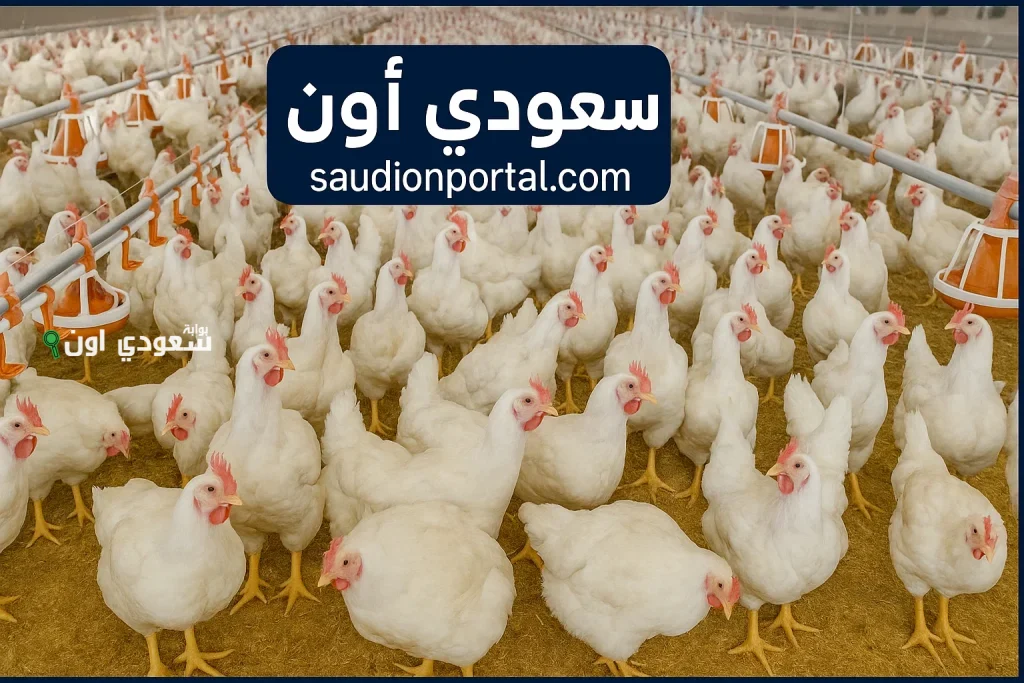 آخر تحديث لأسعار الدواجن