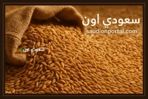 سعر أرز الشعير اليوم الأحد في مصر