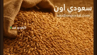 سعر أرز الشعير اليوم الأحد في مصر