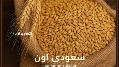 آخر تحديث صباحي لسعر طن أرز الشعير اليوم
