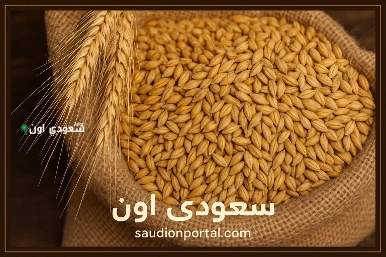 آخر تحديث صباحي لسعر طن أرز الشعير اليوم