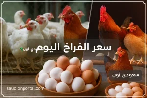 سعر الفراخ البيضاء