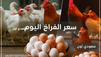 سعر الفراخ البيضاء