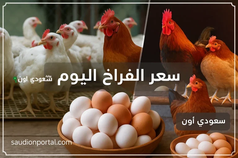 سعر الفراخ البيضاء