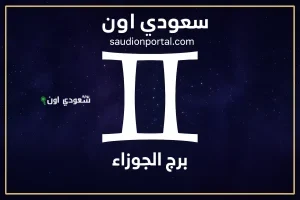 نصائح فلكية لمواليد برج الجوزاء