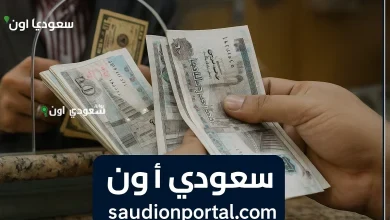 صرف فوري.. مرتبات مايو 2025 تبدأ رسميًا الأسبوع القادم حسب بيان وزارة المالية