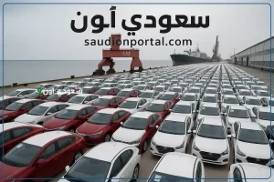 قرارات جمركية جديدة تصدم ذوي الهمم
