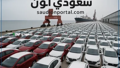 قرارات جمركية جديدة تصدم ذوي الهمم
