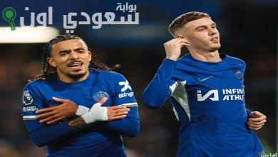 برونو وبالمر