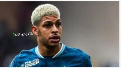 لويس هنريكي