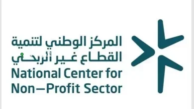 القطاع غير الربحي