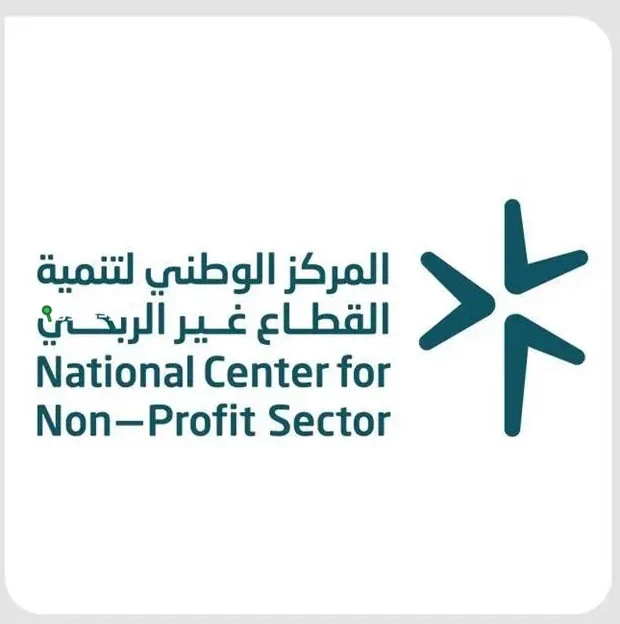 القطاع غير الربحي
