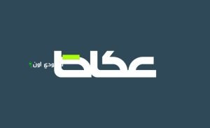 32 مشروعاً اقتصادياً وتنموياً لتطوير الخدمات من 15 جهة حكومية قيد الاستطلاع