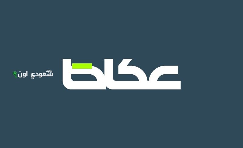 32 مشروعاً اقتصادياً وتنموياً لتطوير الخدمات من 15 جهة حكومية قيد الاستطلاع