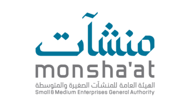 الهيئه العامه للمنشآت الصغيره