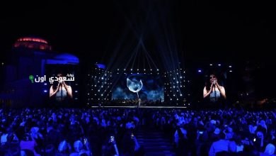 أنغام تقدم حفلاً مكتمل العدد في مشروع ليالى مصر