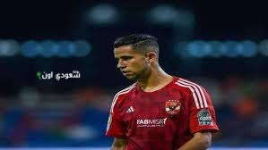 رضا سليم