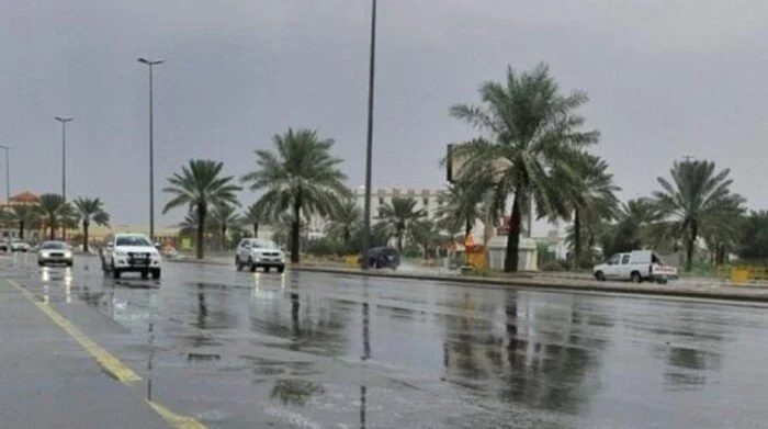 أمطار رعدية ورياح في